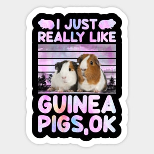 I Just Really Like Guinea Pigs Ok Sticker